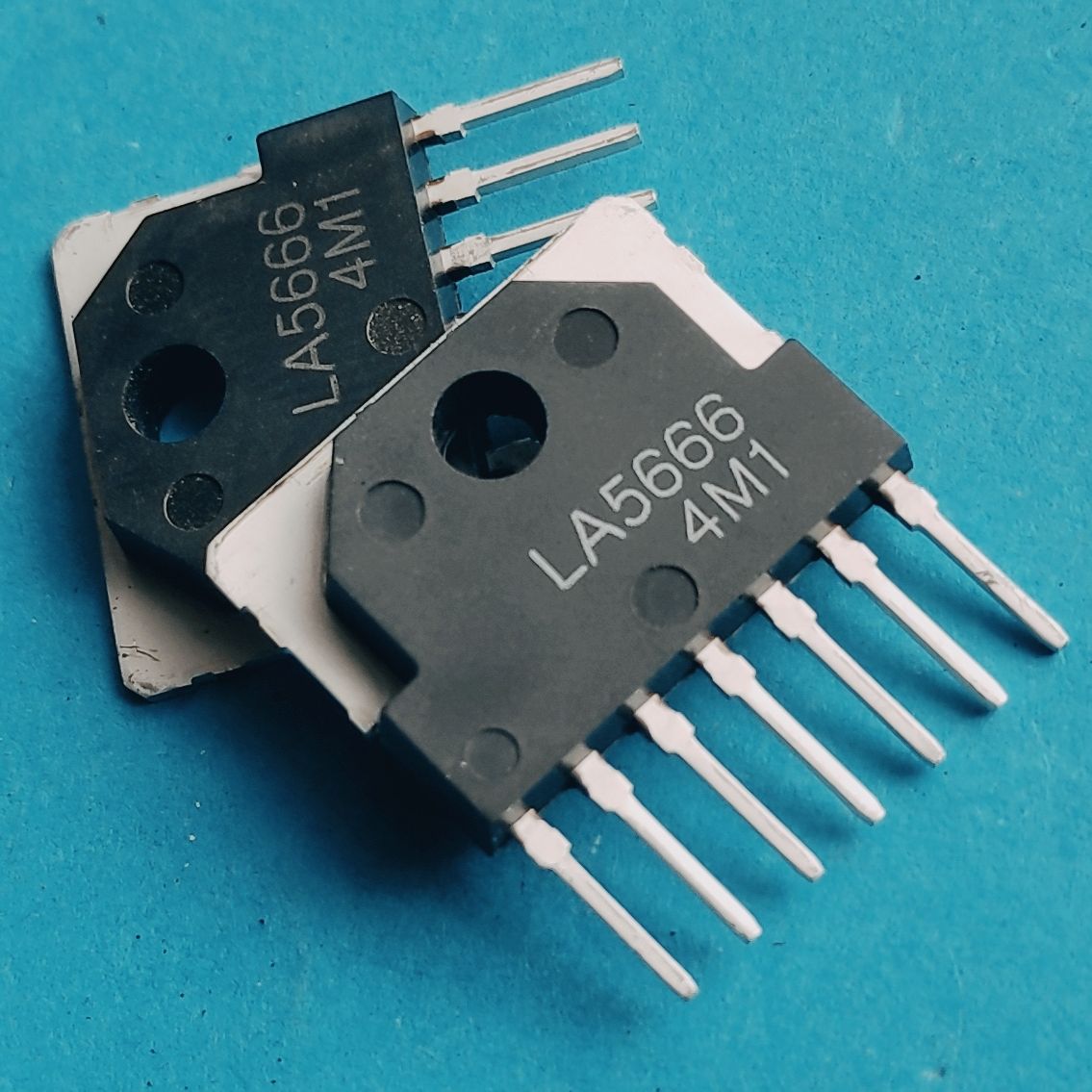 LA5666
